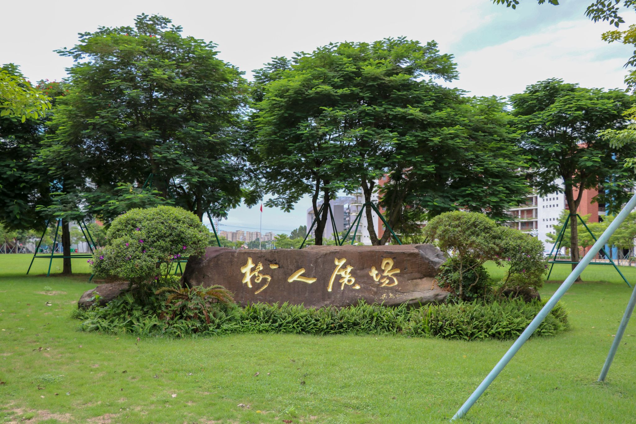 41树人广场 叶晓清摄.JPG