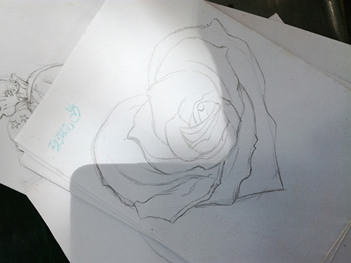 画在邮票上的玫瑰花