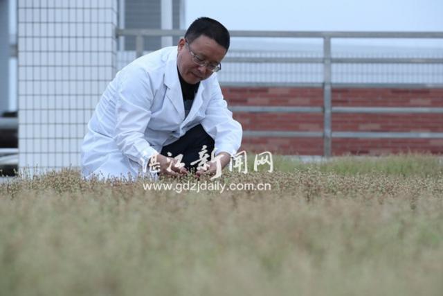 刘金祥：昔在航天城造绿洲，今为港城添绿意