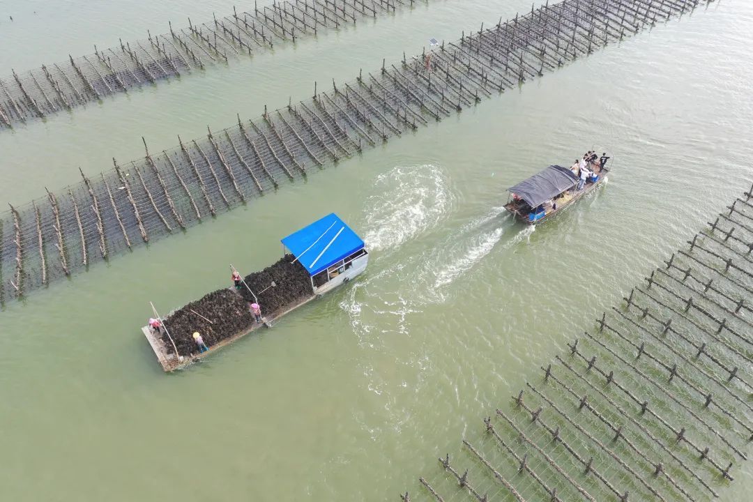 微信图片_20240416232439.jpg 微信图片_20240416232439.jpg