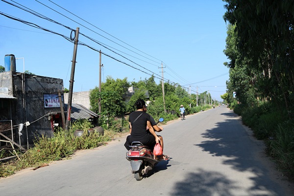 买菜的返程途中
