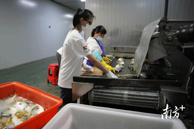 dea2ee912ed744139779a6ce07dc27f1_batchwm.png dea2ee912ed744139779a6ce07dc27f1_batchwm.png