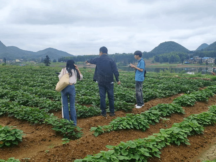 362daf2db6de490ae3a8fac1005a5f43.png 362daf2db6de490ae3a8fac1005a5f43.png