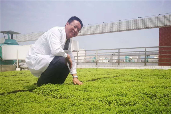 刘金祥：致力为城市“第五立面”披“绿衣”