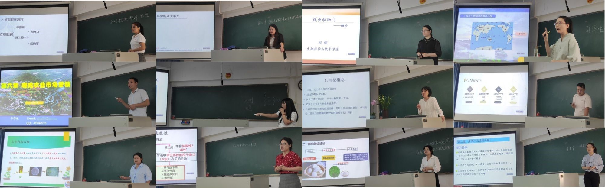 未命名的设计.jpg 未命名的设计.jpg