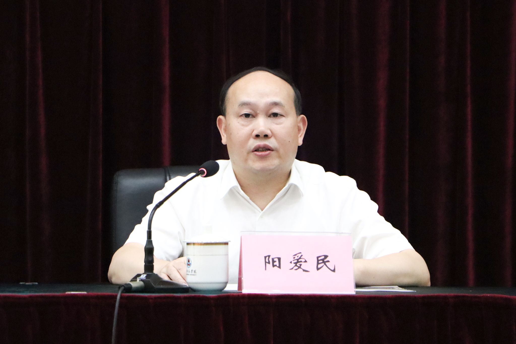 朱洁妍摄(5) 特写 阳爱民校长讲话.jpg