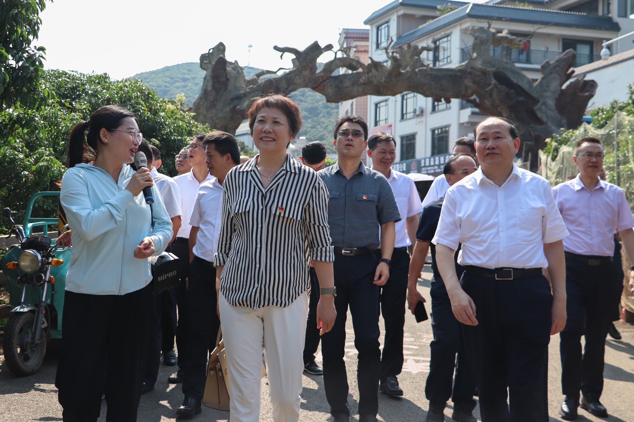 马育坤摄.jpg