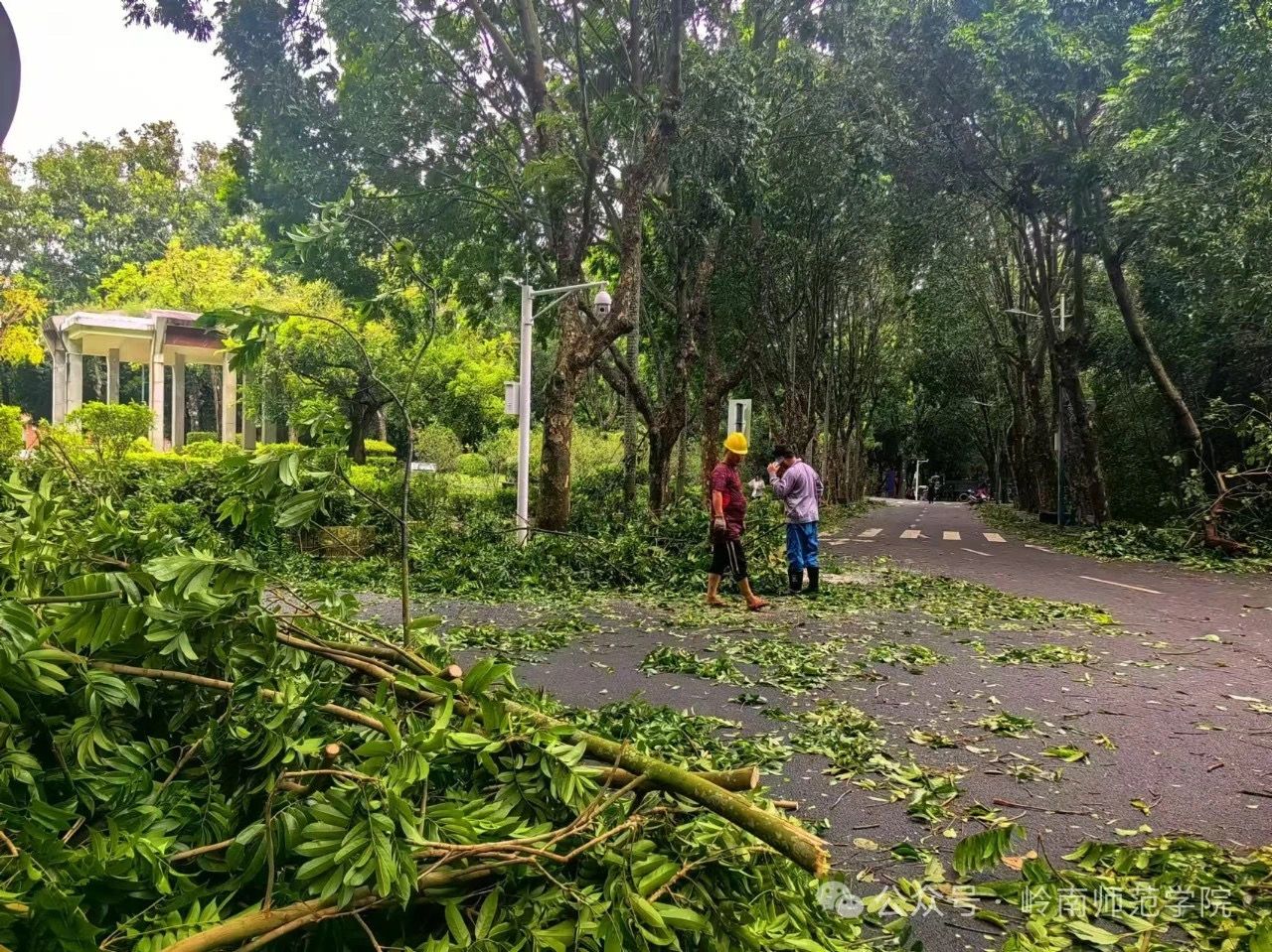 IMG_4700.JPG IMG_4700.JPG