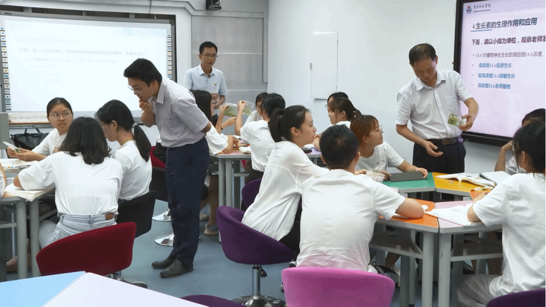 33 (2).png 33 (2).png