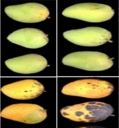 p3838_b.jpg p3838_b.jpg