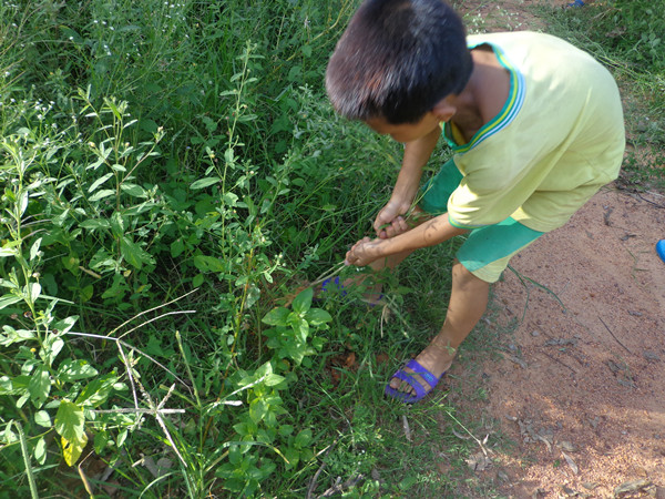 孩子帮忙拔草