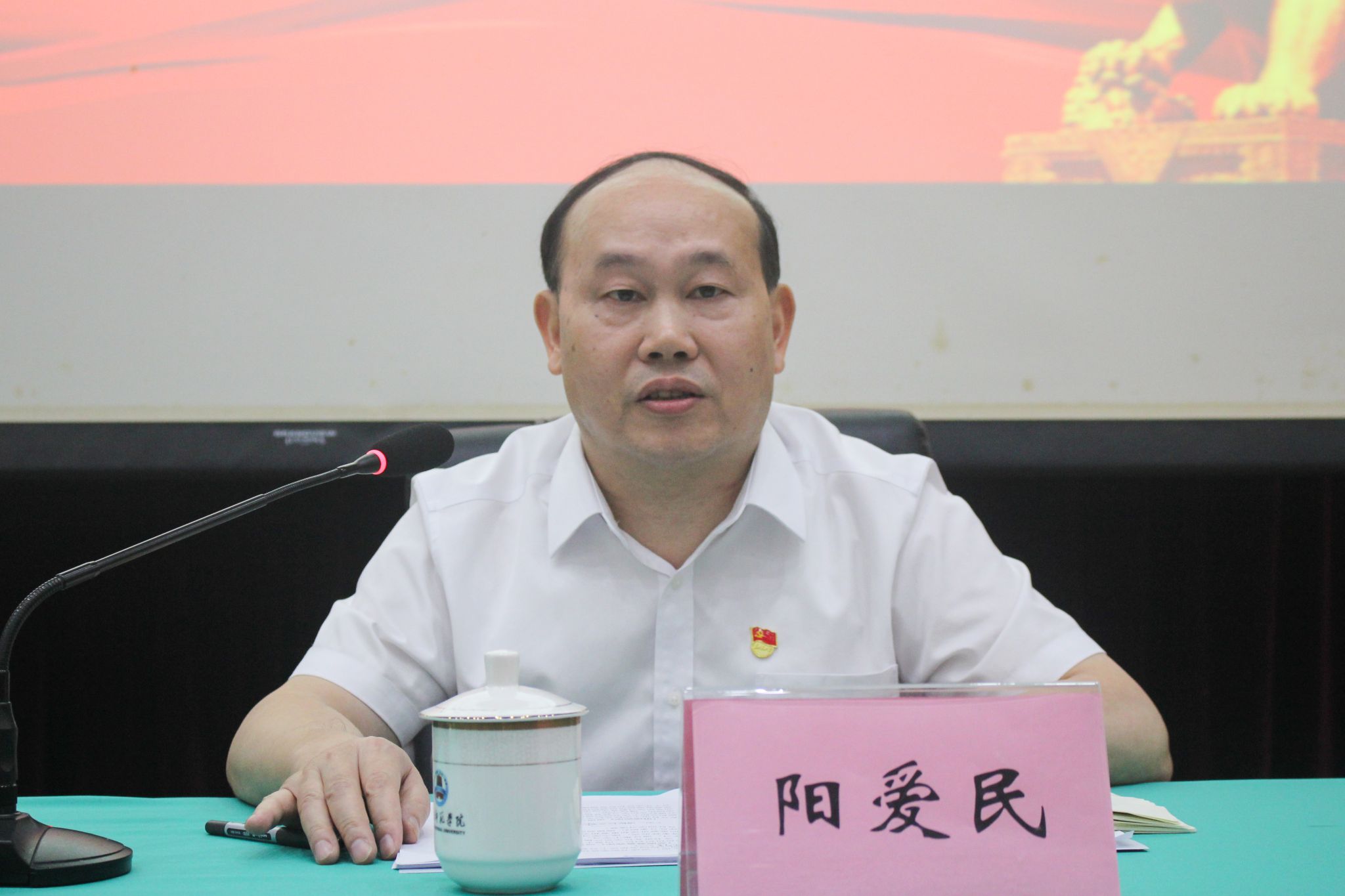 梁蔓淇摄-8特写(阳爱民发言).jpg