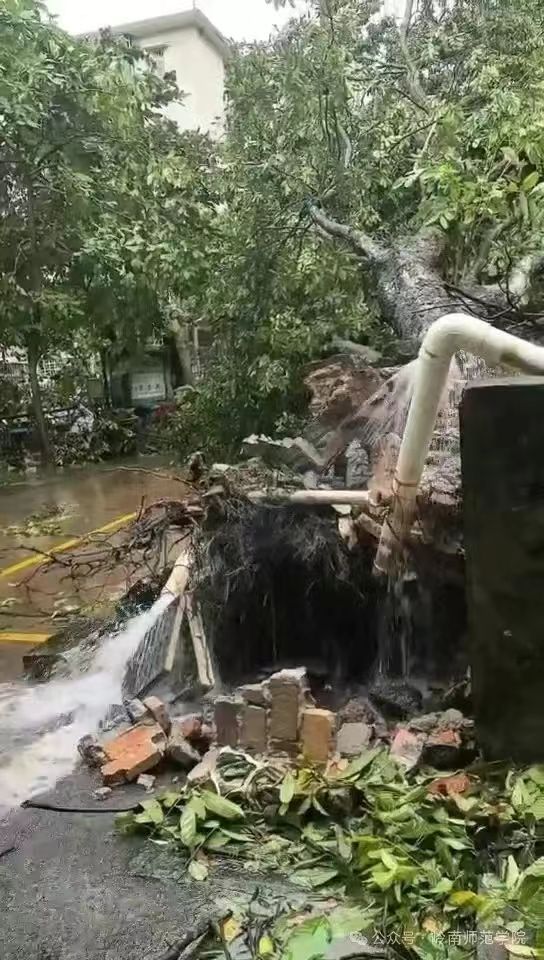 IMG_4697.JPG IMG_4697.JPG