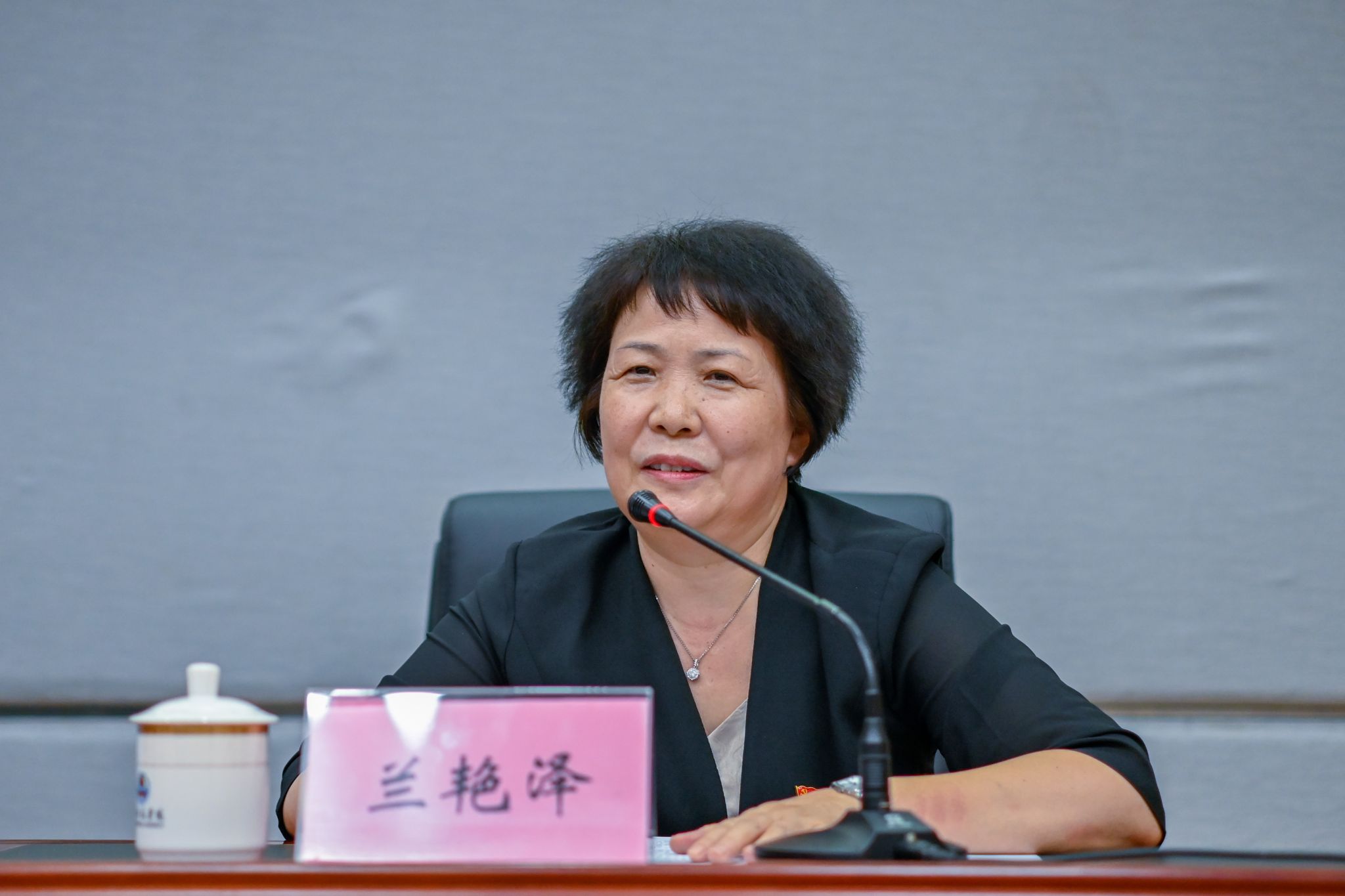 佟烨摄--兰书记特写 (3).JPG 佟烨摄--兰书记特写 (3).JPG