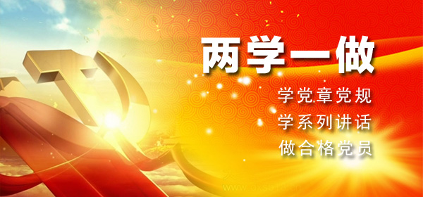 两学一做