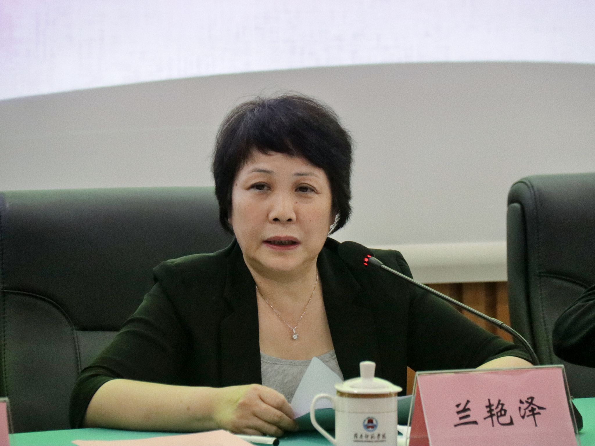 2 党委书记兰艳泽讲话.jpg 2 党委书记兰艳泽讲话.jpg