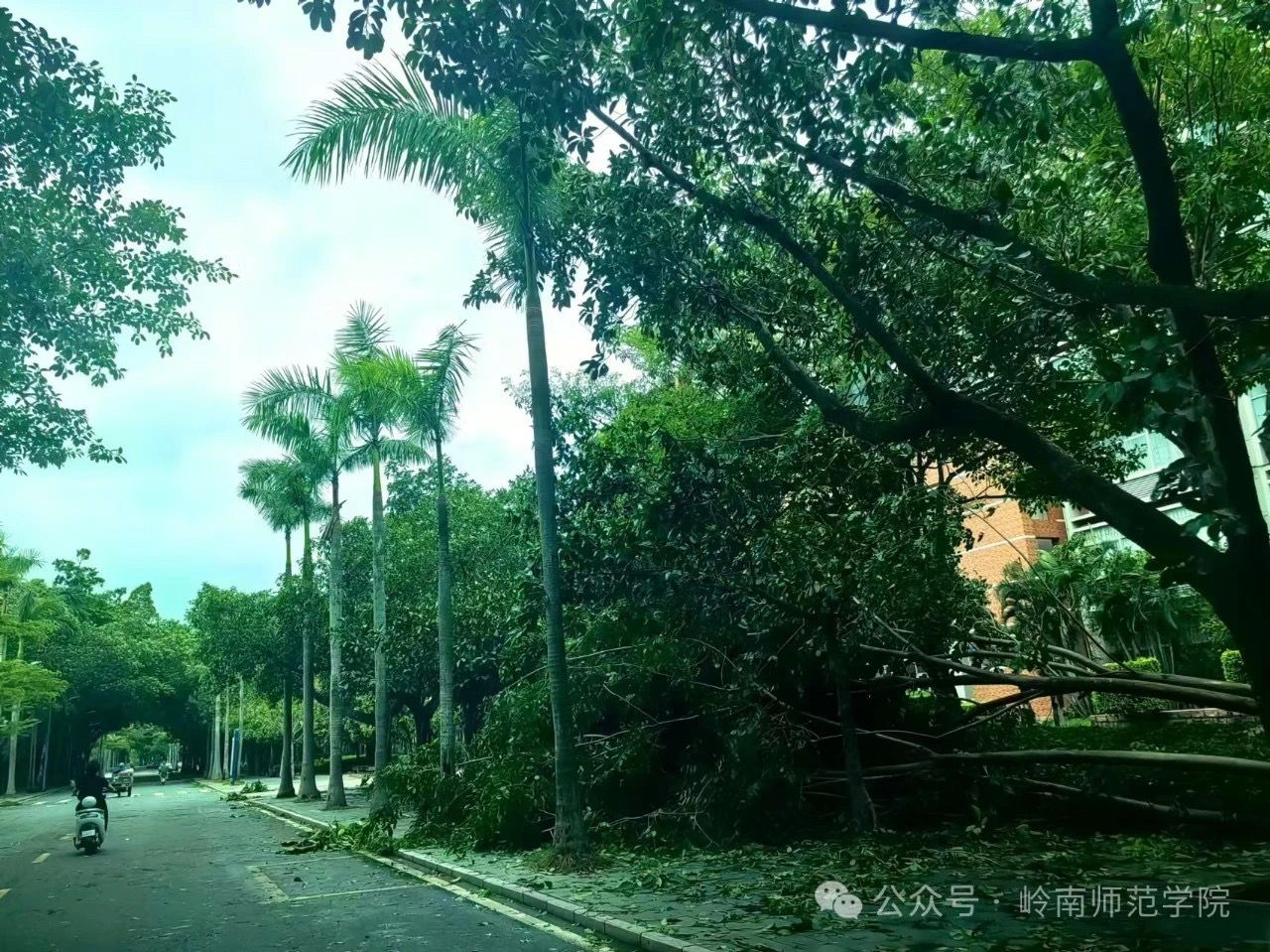 IMG_4704.JPG IMG_4704.JPG