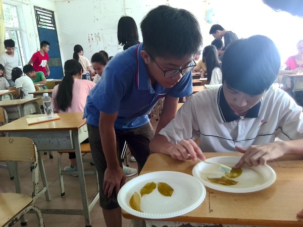 同学们在制作叶脉书签