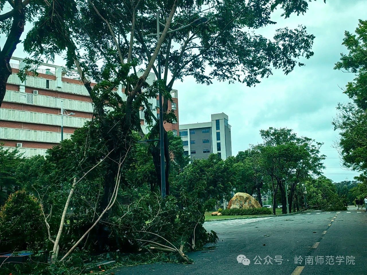 IMG_4703.JPG IMG_4703.JPG