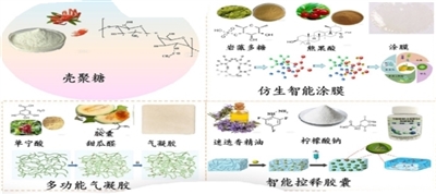 p2BF7_b.jpg p2BF7_b.jpg