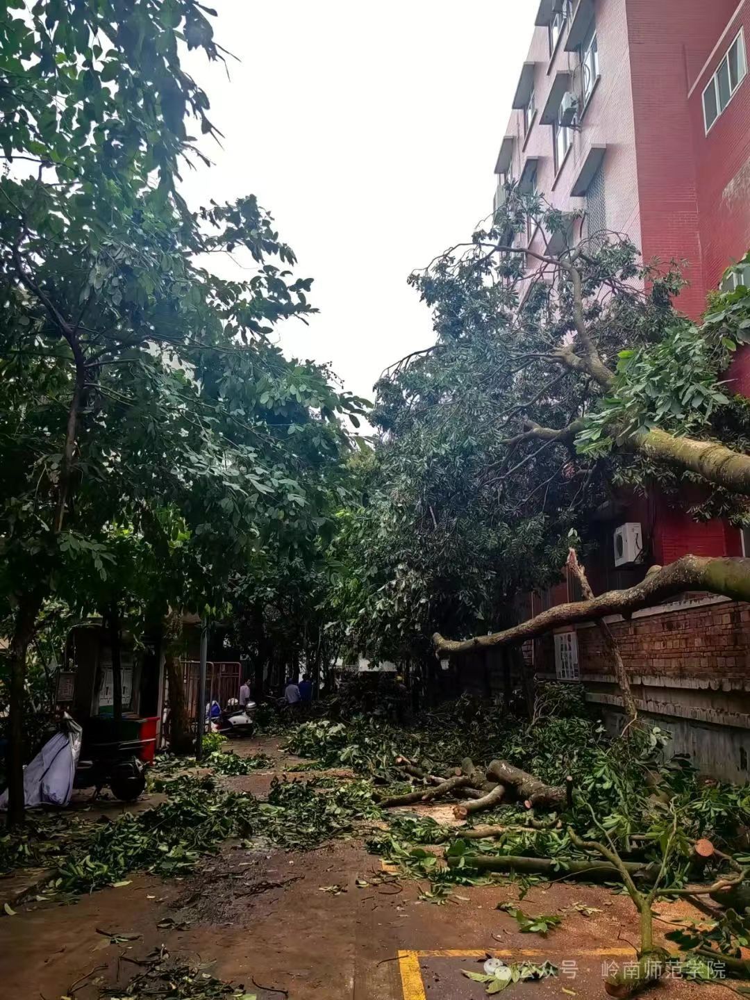 IMG_4698.JPG IMG_4698.JPG