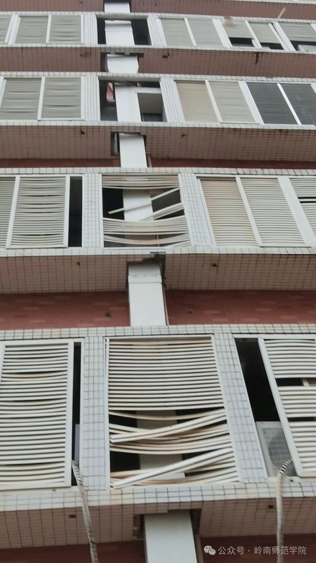 IMG_4699.JPG IMG_4699.JPG