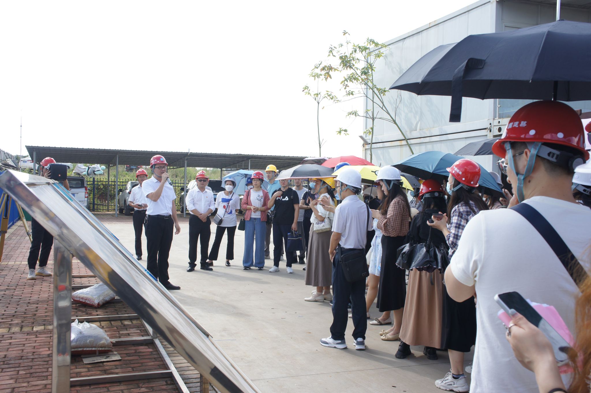 林三清.jpg 林三清.jpg