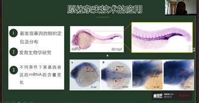 冯瑜菲4 - 副本