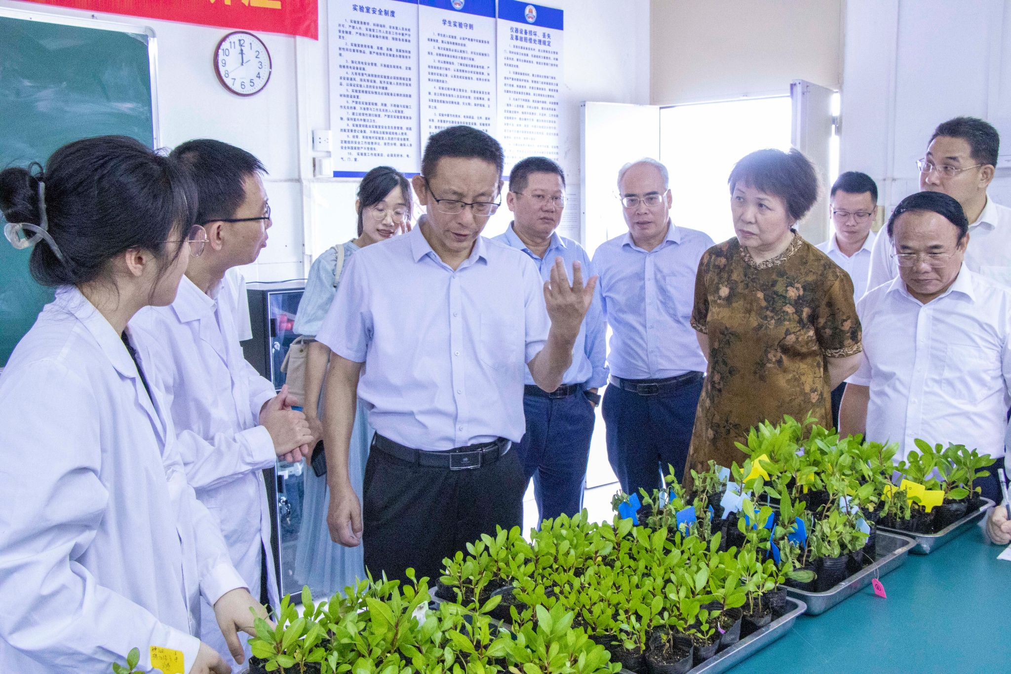 陈凯璇摄 生科院、红树林研究院生态学实验室及植物栽培实验室(22).jpg