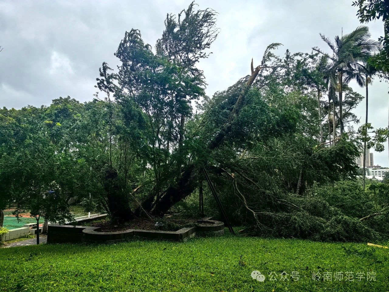 IMG_4705.JPG IMG_4705.JPG