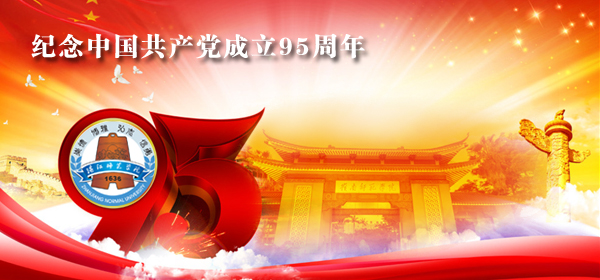 建党95周年