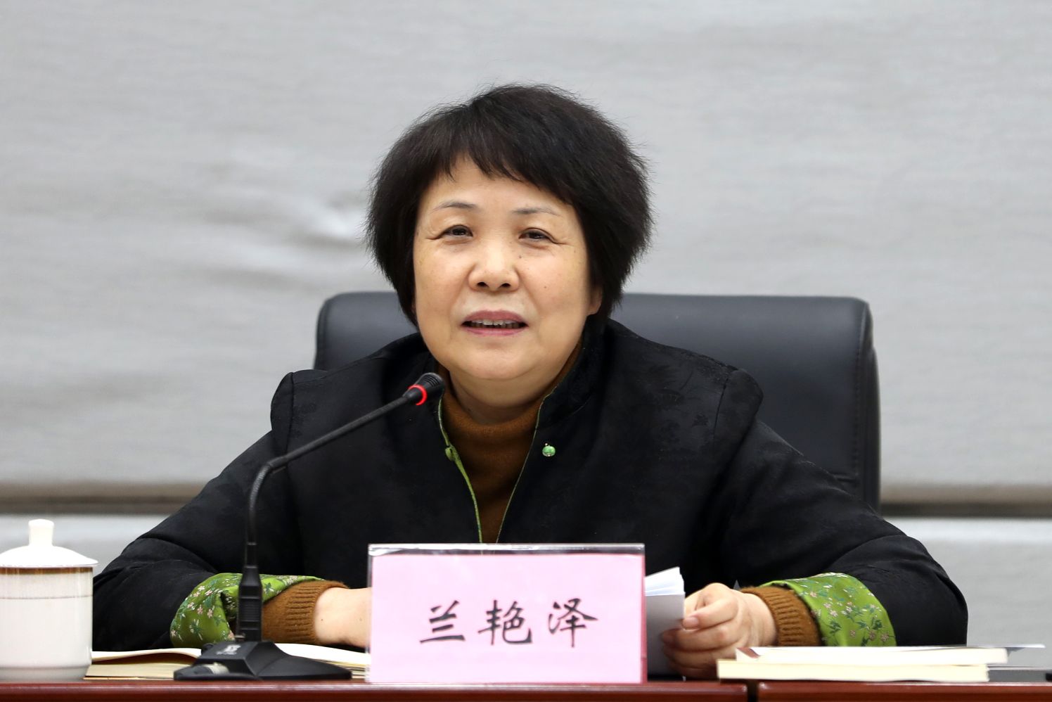 4 岭南师范学院党委书记兰艳泽讲话.jpg