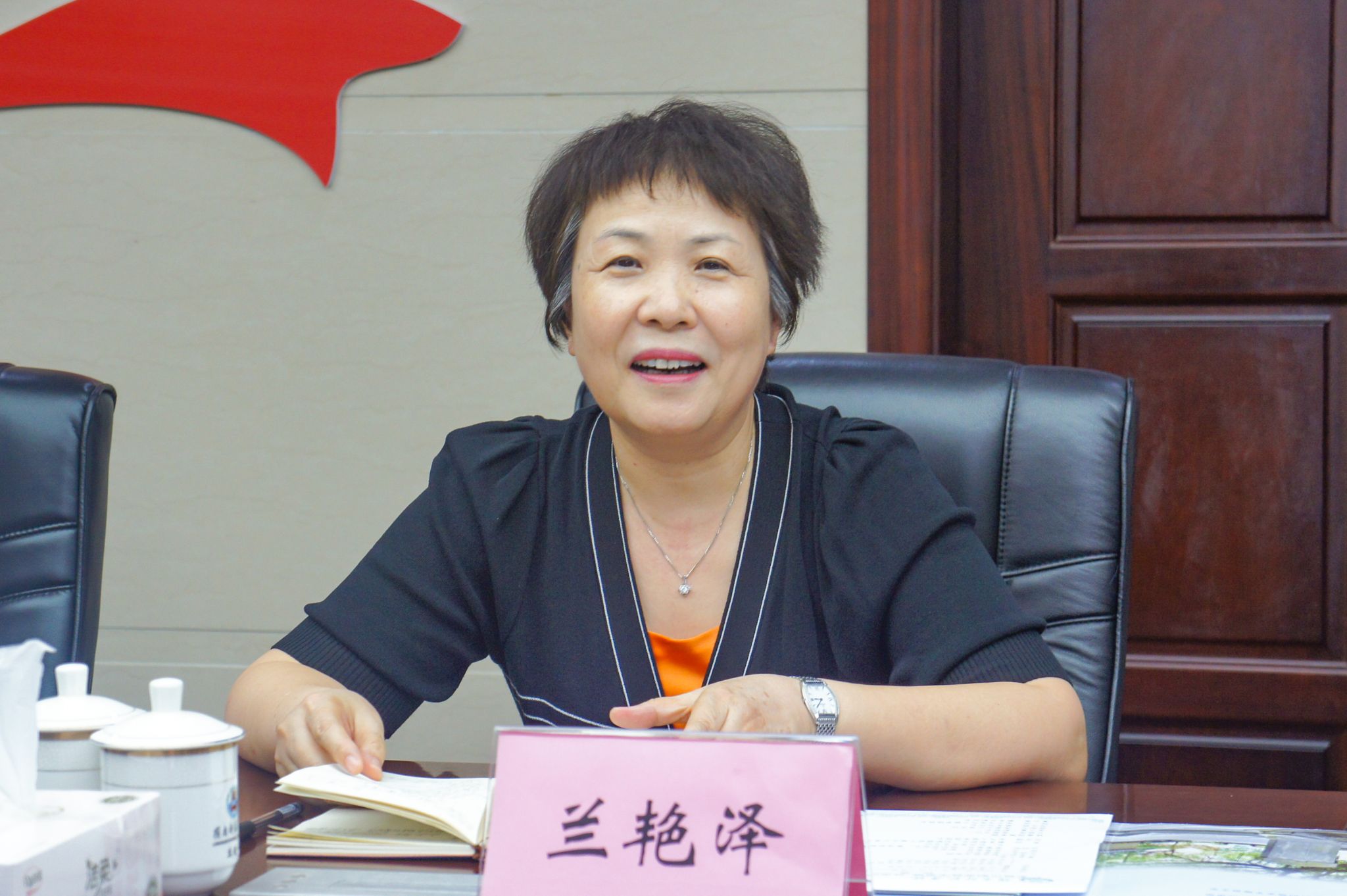 陈香媚摄(2)兰书记特写 (2).jpg