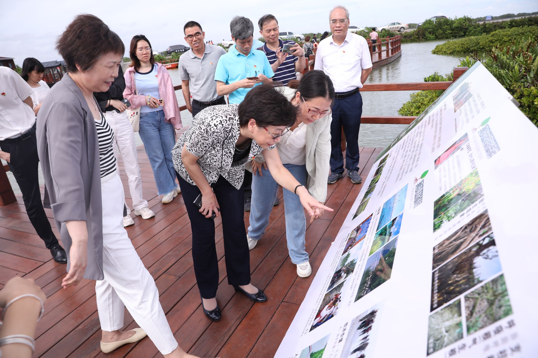 边观看展板边听红树林研究院副院长张颖讲解红树林保护修复等知识)DX8A3982.JPG