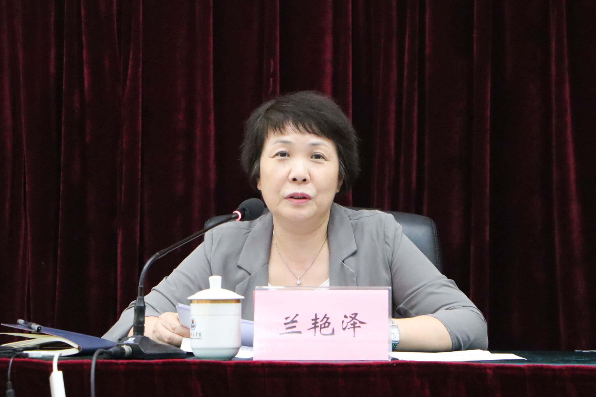 朱洁妍摄(4)特写 兰艳泽书记讲话.jpg